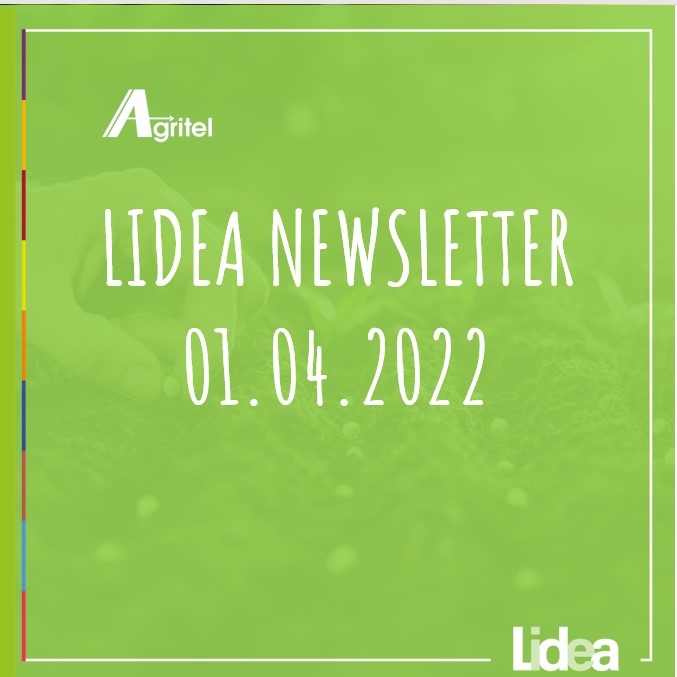 Lidea Newsletter 01.04.2022 1